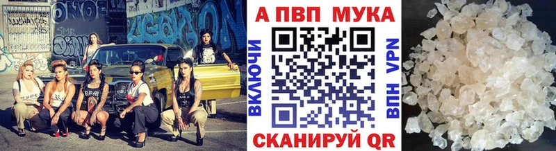 Альфа ПВП СК КРИС  Белая Холуница 