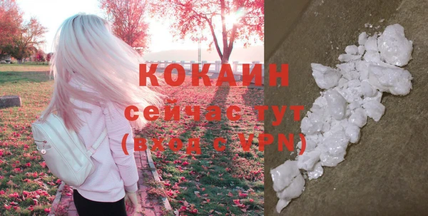 сатива Пенза