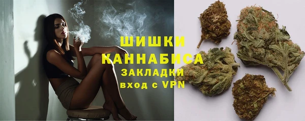 сатива Пенза