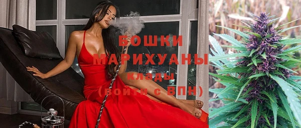 сатива Пенза