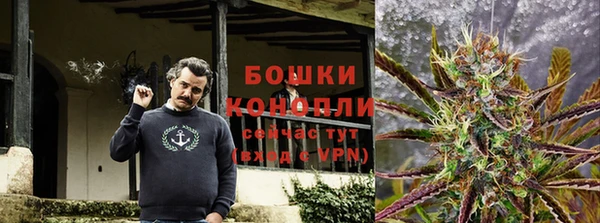сатива Пенза