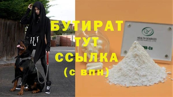 сатива Пенза